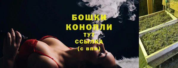 дживик Богданович