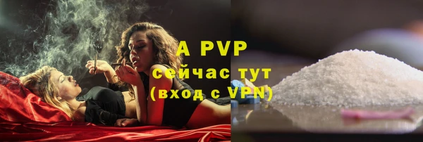 СК Сафоново