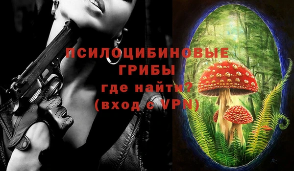 гидропоника Богородицк