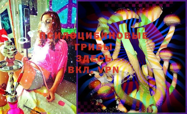дживик Богданович
