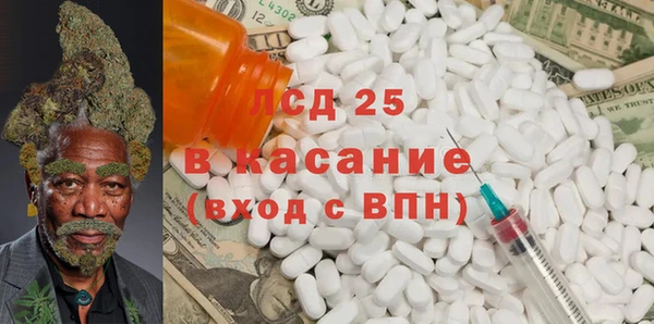 СК Сафоново