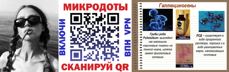 Псилоцибиновые грибы GOLDEN TEACHER  Тверь 